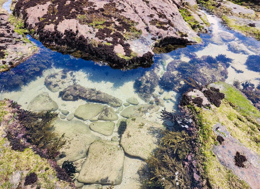 To Let 3 Bedroom Property for Rent in Kaysers Beach Eastern Cape